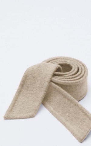 ζωνη Max Mara Ludmilla καφε | MMR594243