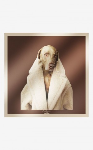 κασκολ Max Mara Printed Silk Scarf καφε | MMR594271